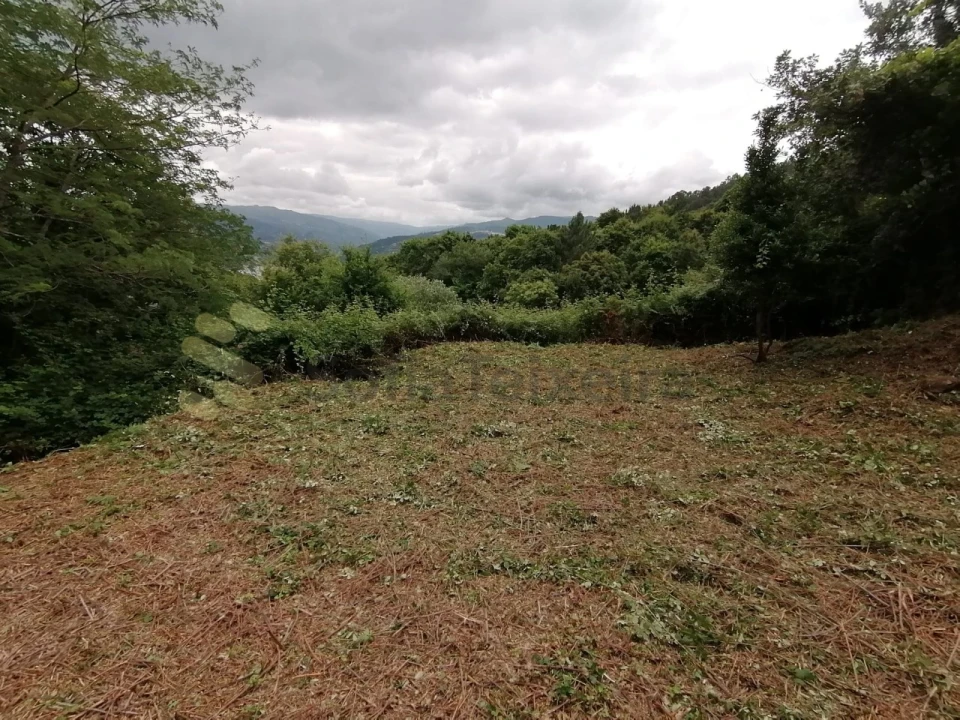 Quinta T5 para Venda em Penhalonga e Paços de Gaiolo Foto 36
