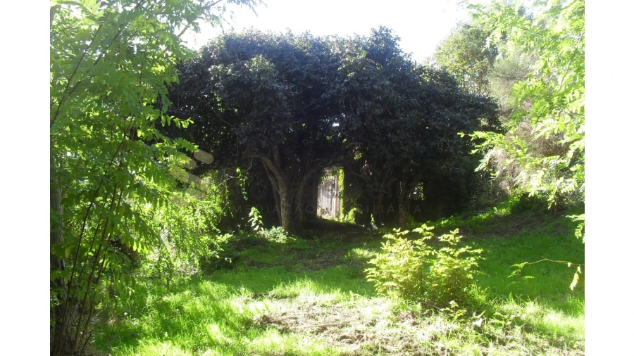 Quinta T5 para Venda em Penhalonga e Paços de Gaiolo Foto 18