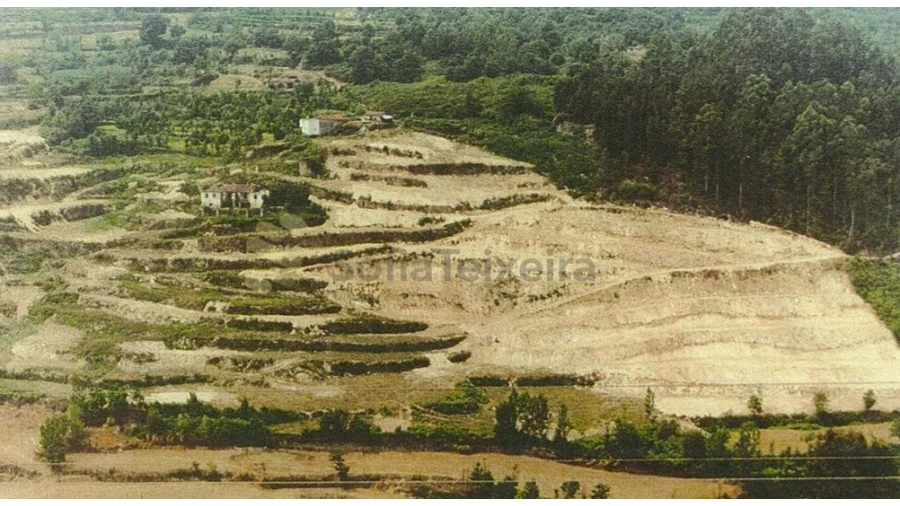 Quinta T5 para Venda em Penhalonga e Paços de Gaiolo Foto 3