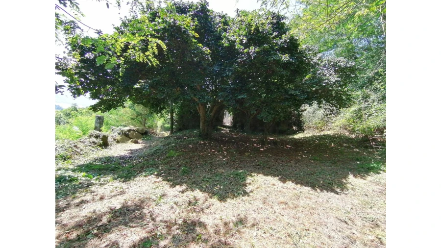 Quinta T5 para Venda em Penhalonga e Paços de Gaiolo Foto 27