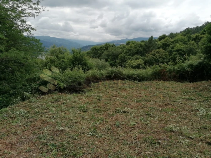 Quinta T5 para Venda em Penhalonga e Paços de Gaiolo Foto 32
