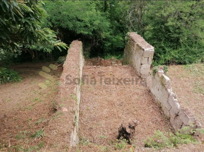 Quinta T5 para Venda em Penhalonga e Paços de Gaiolo Foto 39