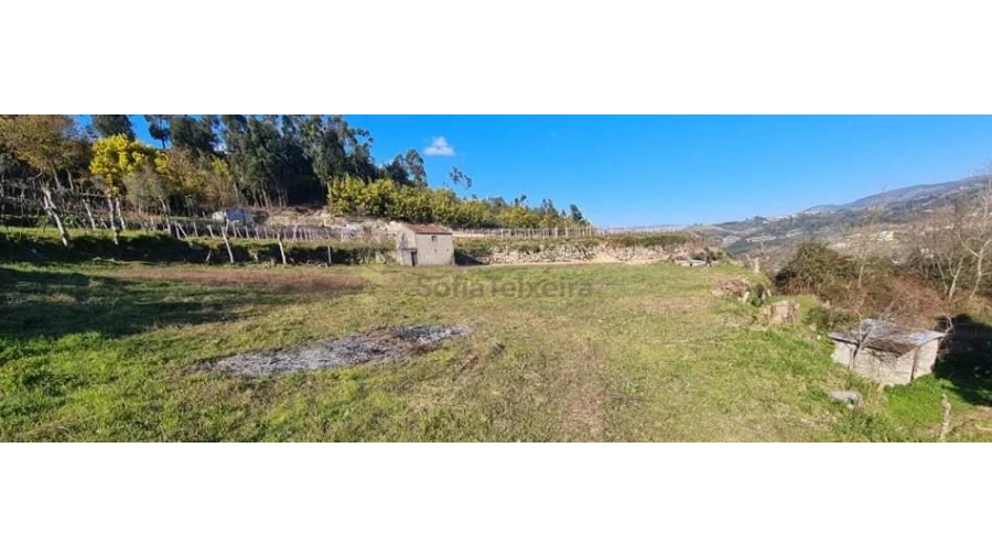 Terreno para Venda em Paredes de Viadores e Manhuncelos Foto 2