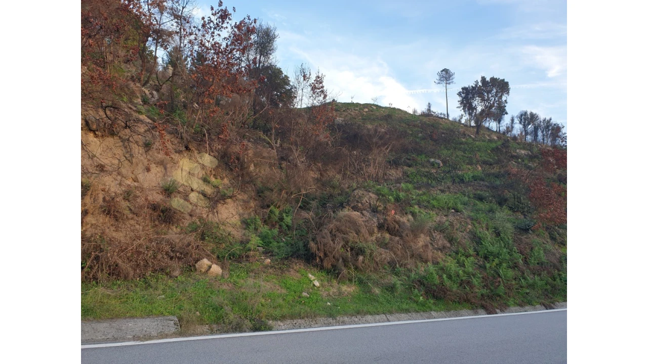 Terreno Agricola ou Rústico para Venda em Baião (Santa Leocádia) e Mesquinhata Foto 2