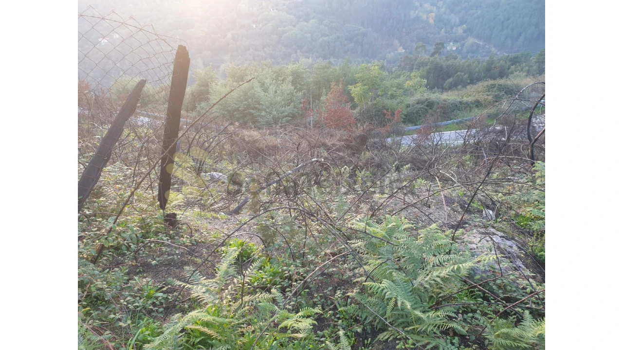 Terreno Agricola ou Rústico para Venda em Baião (Santa Leocádia) e Mesquinhata Foto 5