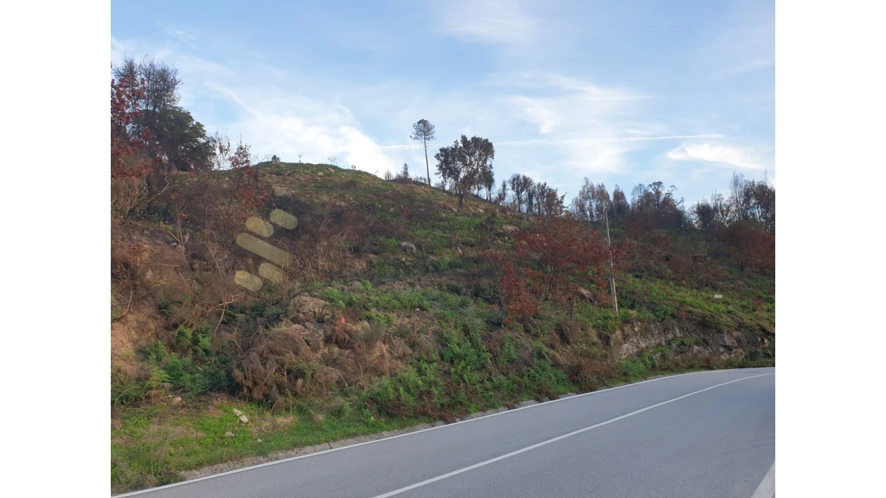 Terreno Agricola ou Rústico para Venda em Baião (Santa Leocádia) e Mesquinhata Foto 6