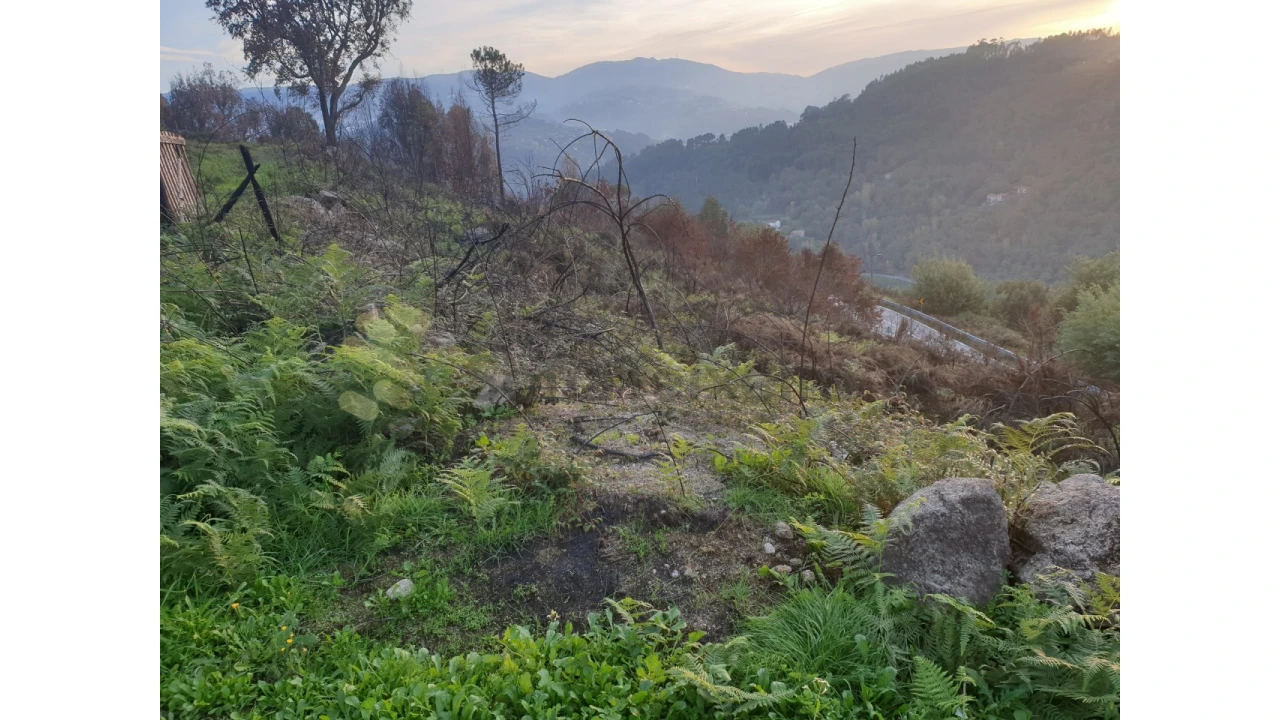 Terreno Agricola ou Rústico para Venda em Baião (Santa Leocádia) e Mesquinhata Foto 13
