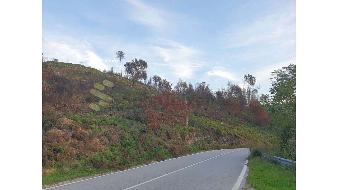Terreno Agricola ou Rústico para Venda em Baião (Santa Leocádia) e Mesquinhata Foto 20