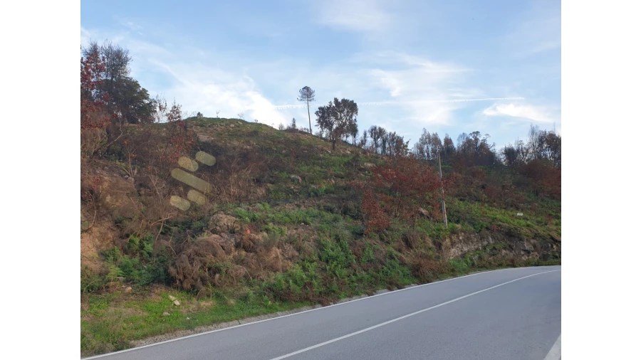 Terreno Agricola ou Rústico para Venda em Baião (Santa Leocádia) e Mesquinhata Foto 6