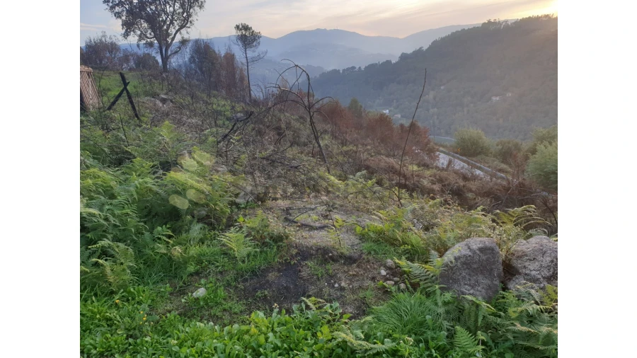 Terreno Agricola ou Rústico para Venda em Baião (Santa Leocádia) e Mesquinhata Foto 10