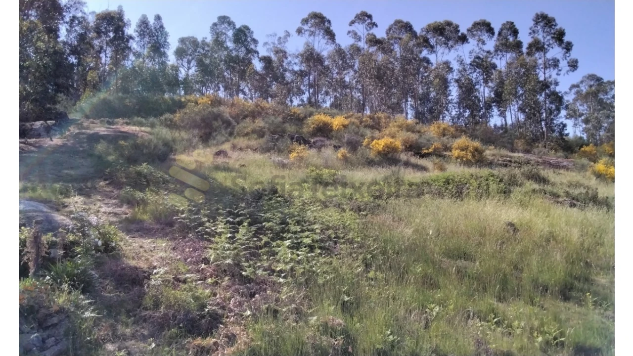 Terreno para Venda em Alpendorada, Várzea e Torrão Foto 1