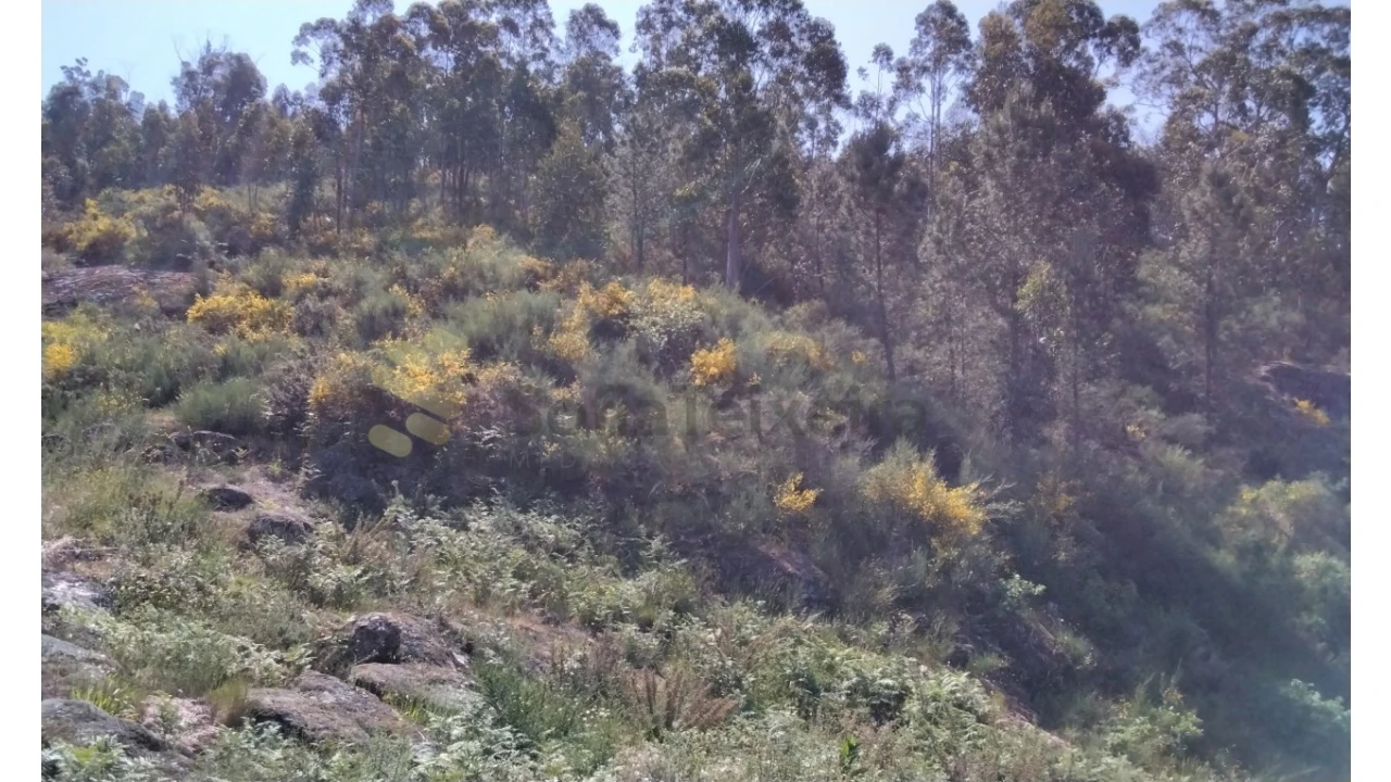 Terreno para Venda em Alpendorada, Várzea e Torrão Foto 9