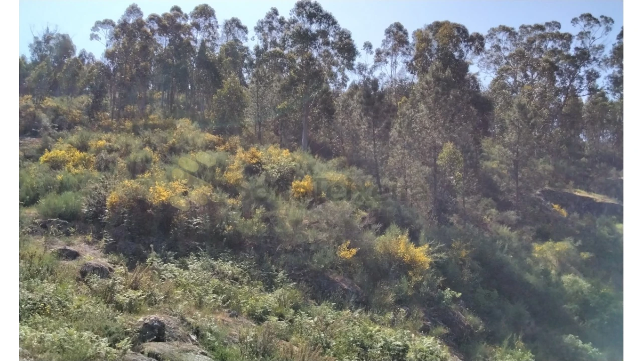 Terreno para Venda em Alpendorada, Várzea e Torrão Foto 15