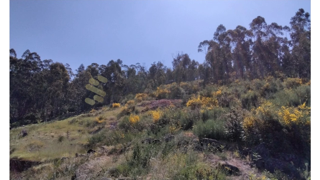 Terreno para Venda em Alpendorada, Várzea e Torrão Foto 16