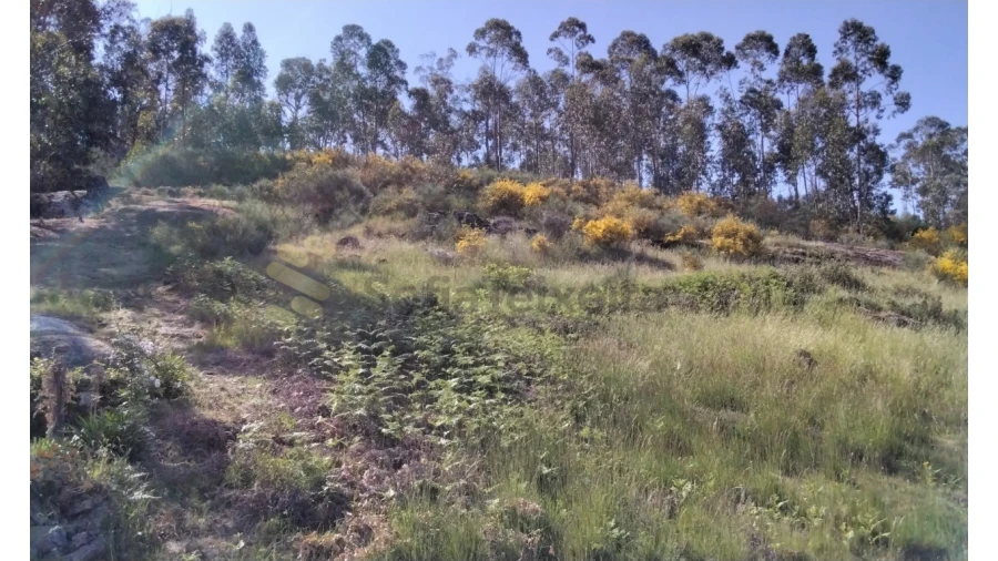 Terreno para Venda em Alpendorada, Várzea e Torrão Foto 1
