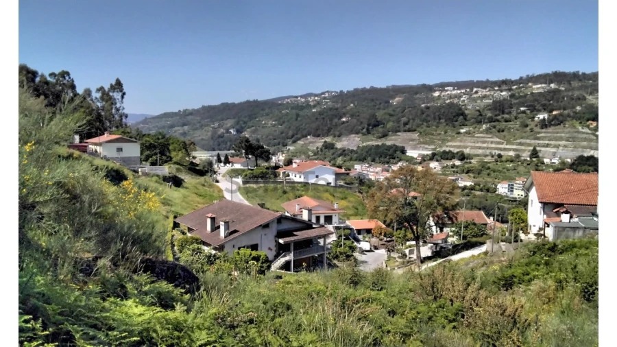 Terreno para Venda em Alpendorada, Várzea e Torrão Foto 5