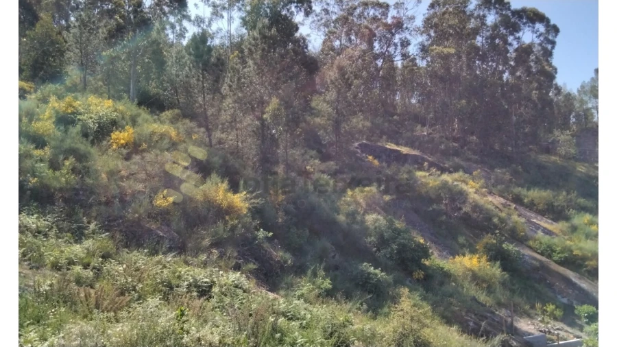 Terreno para Venda em Alpendorada, Várzea e Torrão Foto 8