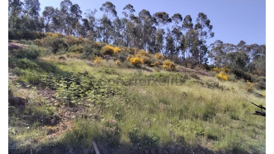 Terreno para Venda em Alpendorada, Várzea e Torrão Foto 19