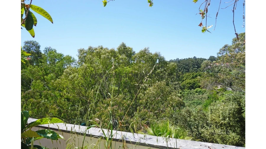Apartamento T2 para Venda em Barcarena Foto 47
