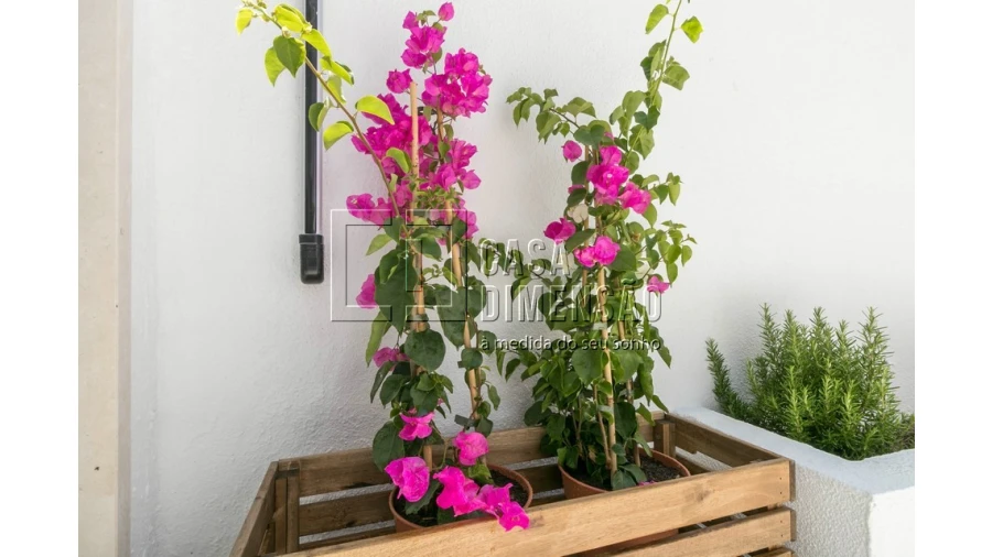 Moradia T4 para Venda em Alvalade Foto 22