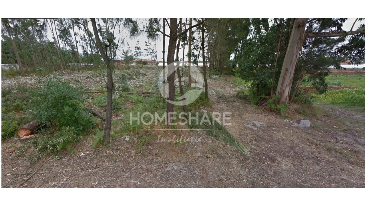 Terreno Agricola ou Rústico para Venda em Ponte de Vagos e Santa Catarina Foto 2