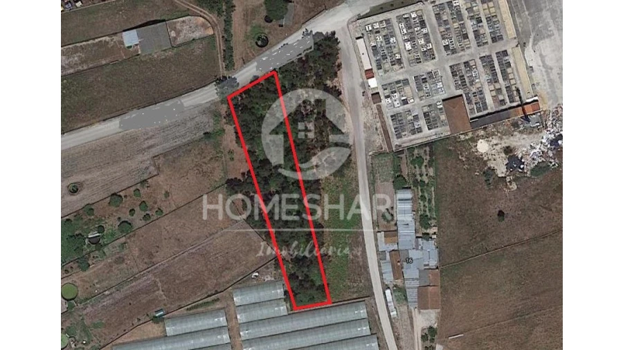 Terreno Agricola ou Rústico para Venda em Ponte de Vagos e Santa Catarina Foto 1