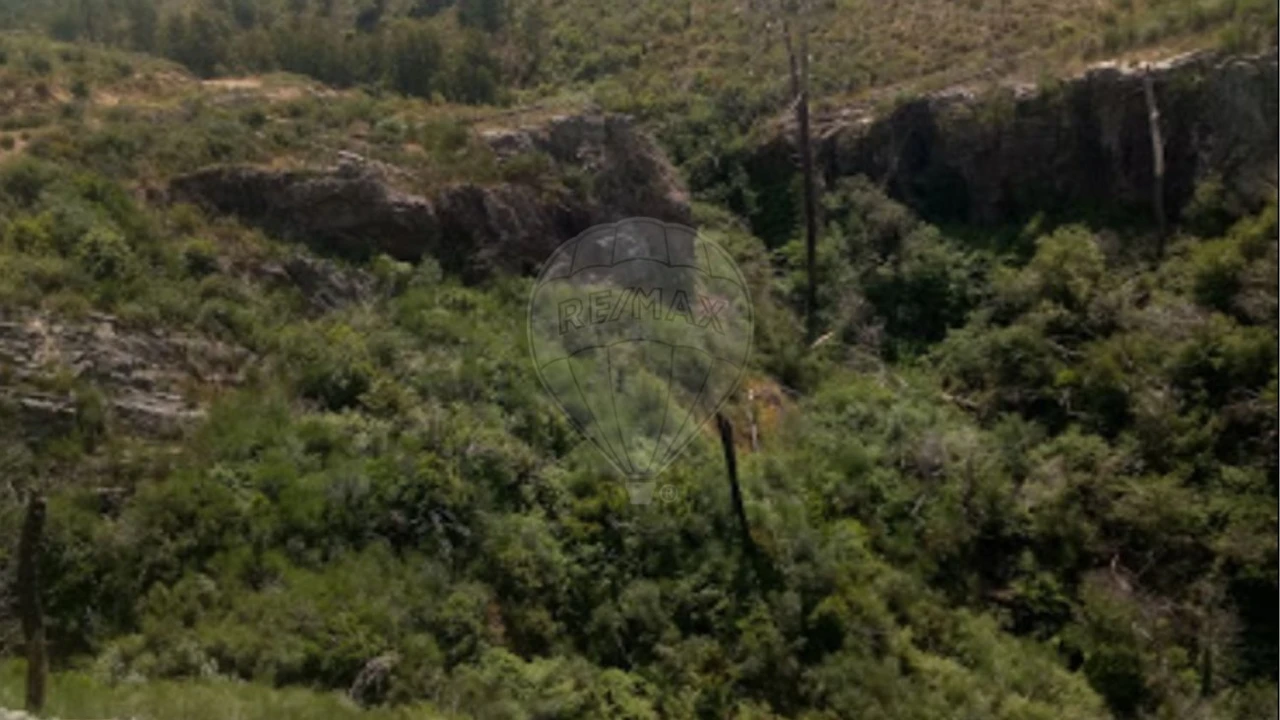 Terreno para Venda em Carvoeiro Foto 2