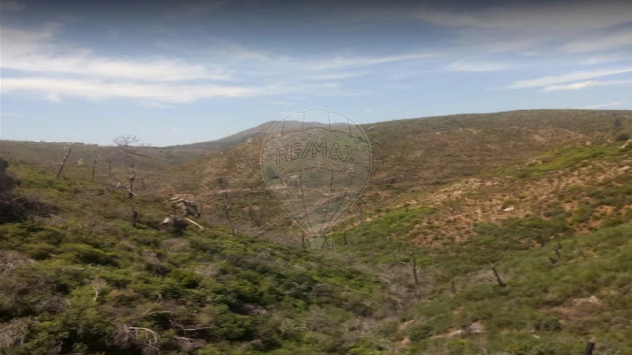 Terreno para Venda em Carvoeiro Foto 1