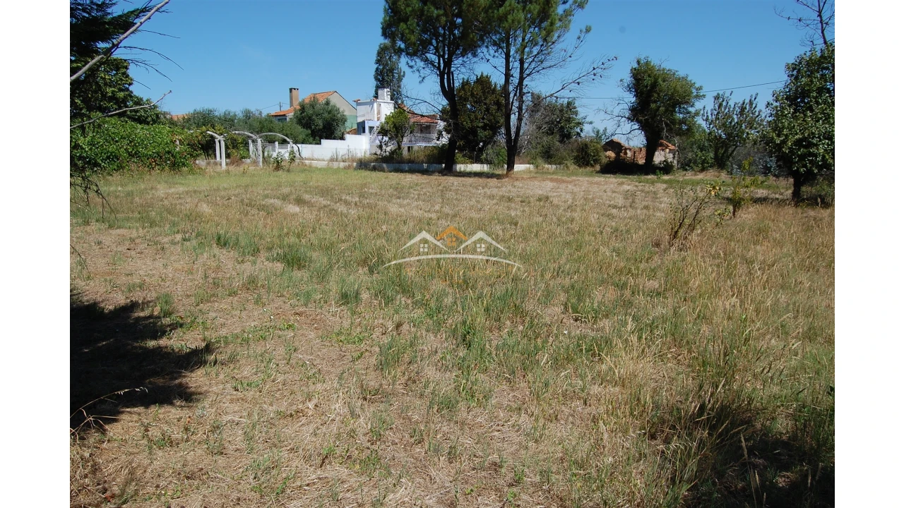 Terreno para Venda em Beco Foto 9