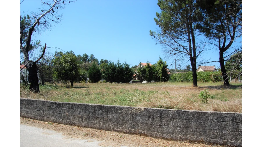 Terreno para Venda em Beco Foto 11