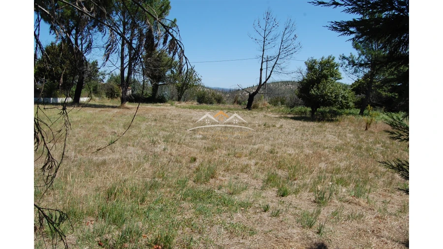 Terreno para Venda em Beco Foto 10