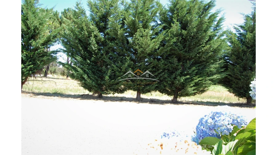 Terreno para Venda em Beco Foto 2