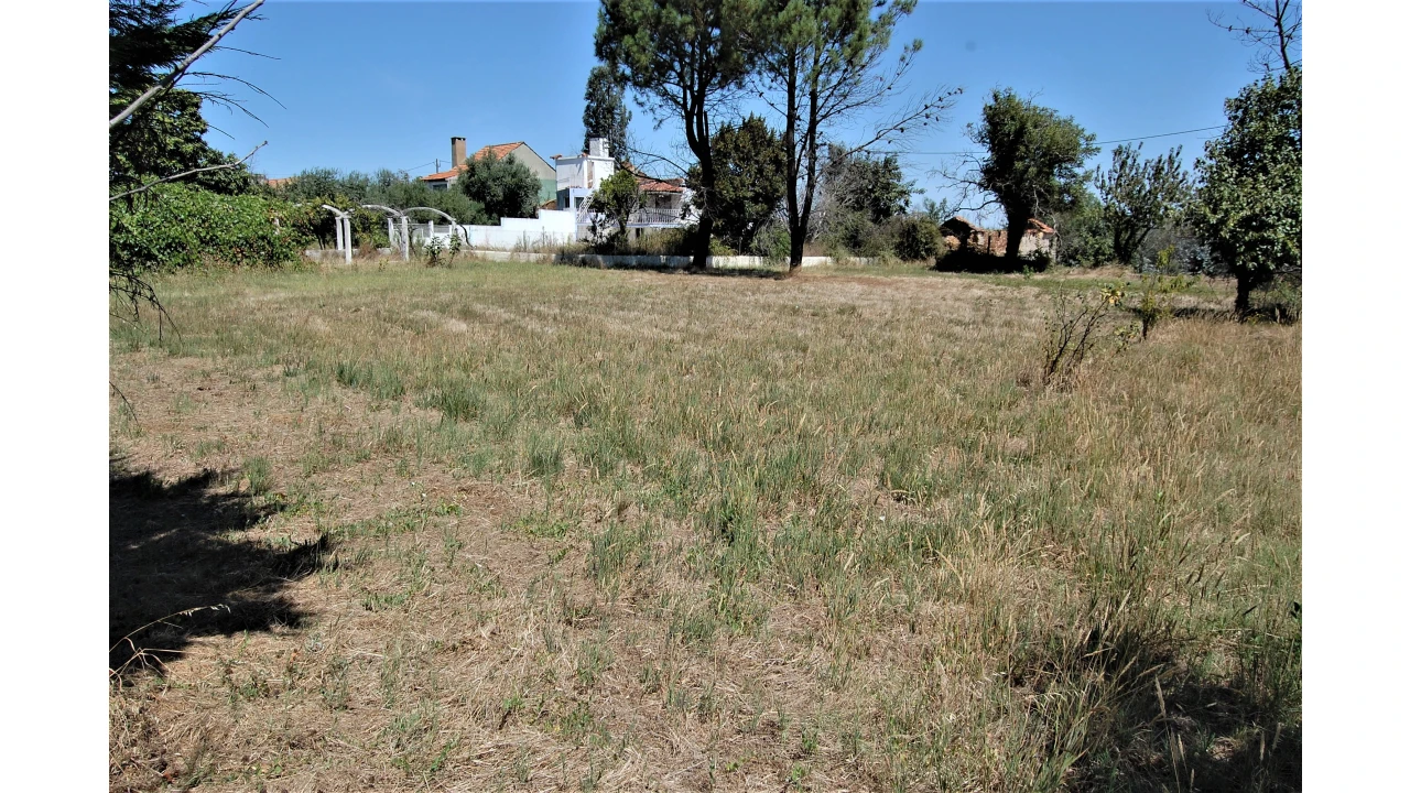 Terreno para Venda em Beco Foto 5