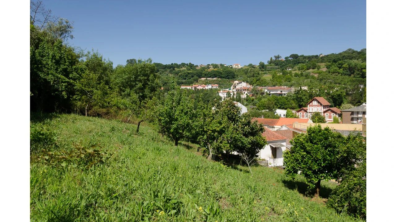 Prédio para Venda em Alcobaça e Vestiaria Foto 10