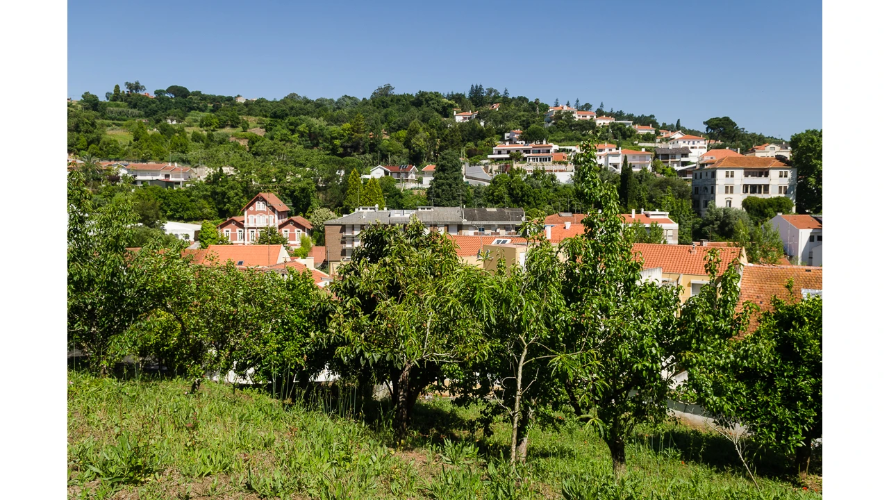 Prédio para Venda em Alcobaça e Vestiaria Foto 8