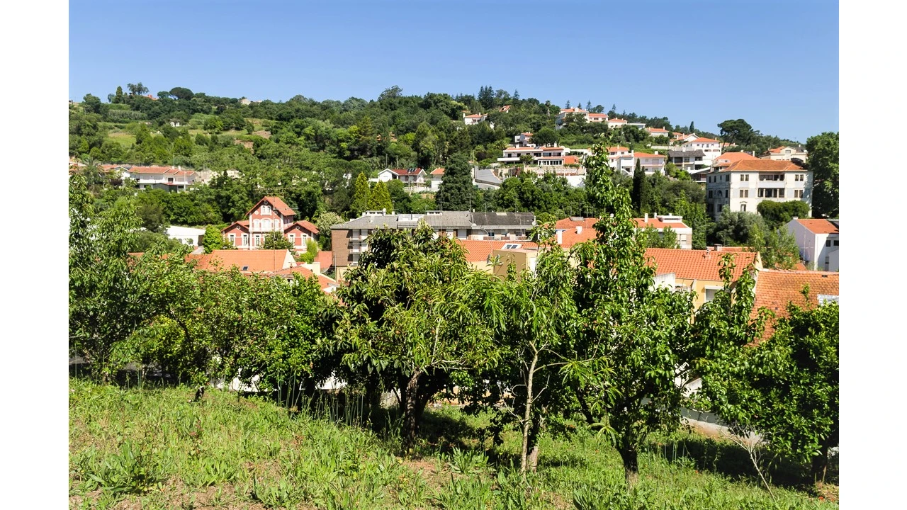 Prédio para Venda em Alcobaça e Vestiaria Foto 14
