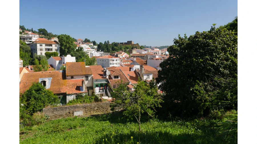 Prédio para Venda em Alcobaça e Vestiaria Foto 12