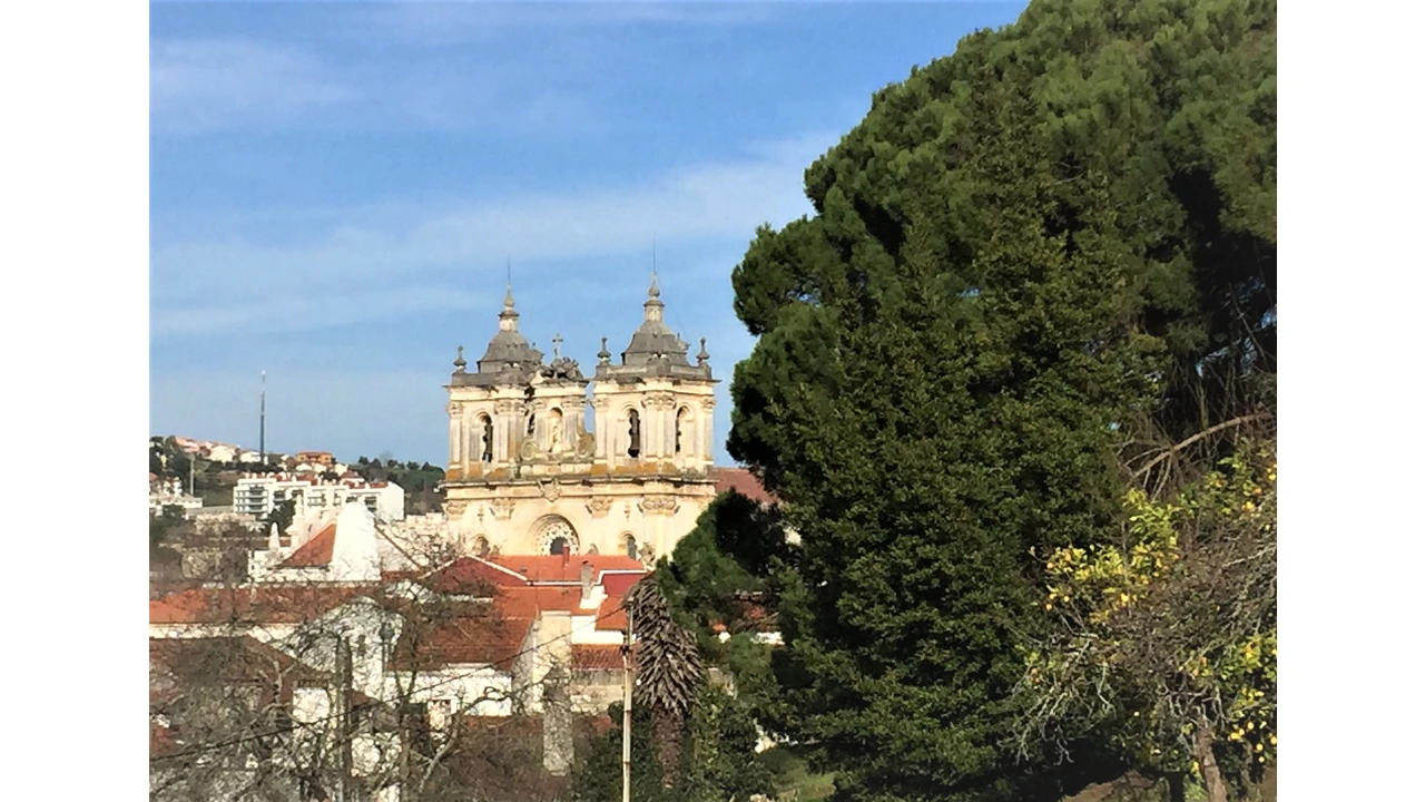 Prédio para Venda em Alcobaça e Vestiaria Foto 3