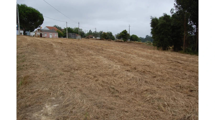 Terreno para Venda em Olalhas Foto 8