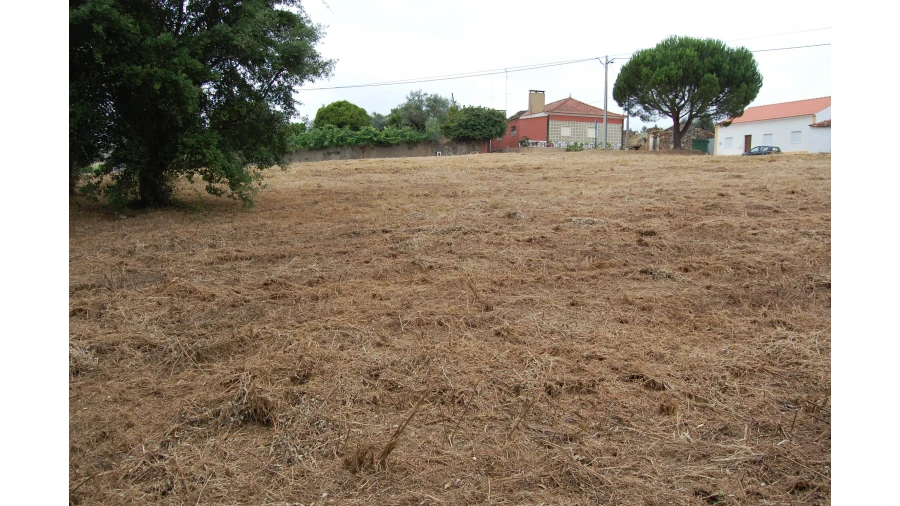 Terreno para Venda em Olalhas Foto 4