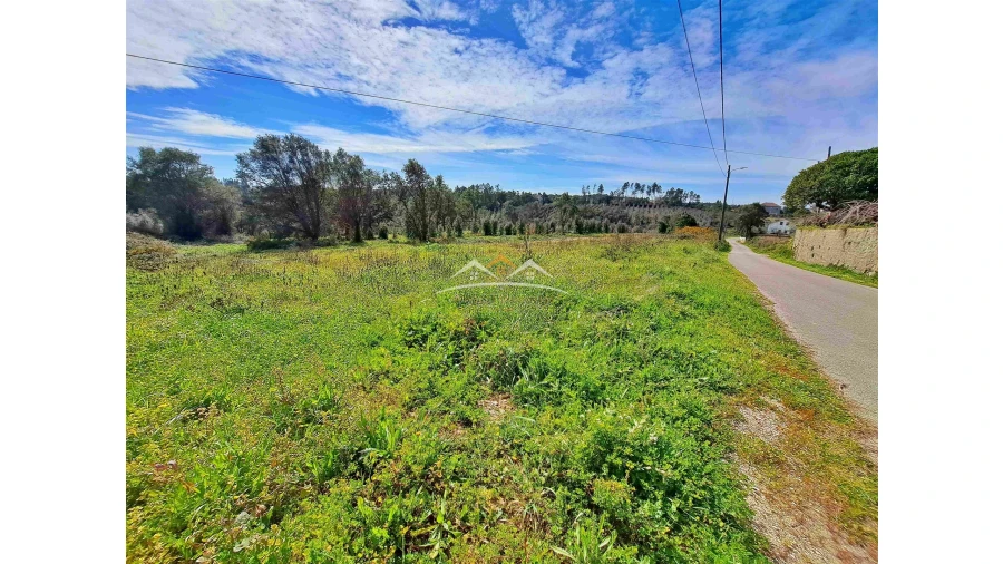 Terreno para Venda em Olalhas