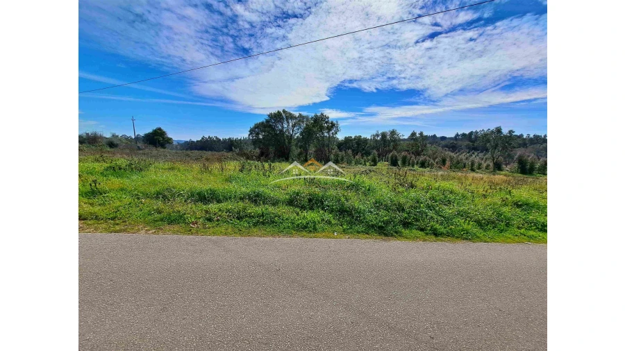 Terreno para Venda em Olalhas Foto 5