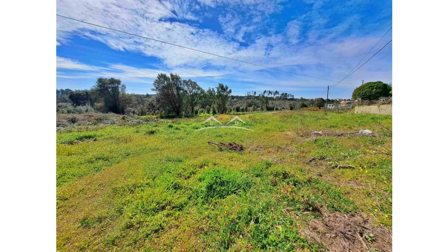 Terreno para Venda em Olalhas Foto 3