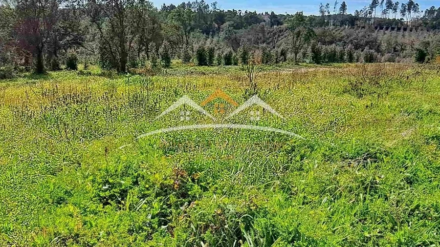 Terreno Agricola ou Rústico para Venda em Olalhas