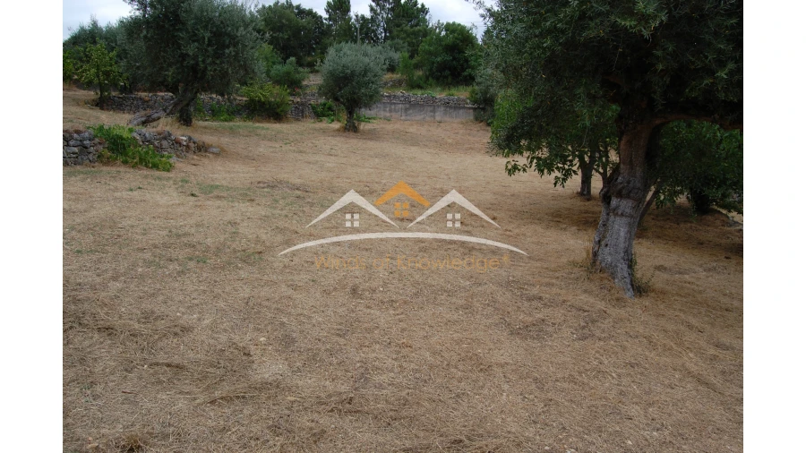 Moradia T3 para Venda em Além da Ribeira e Pedreira Foto 11