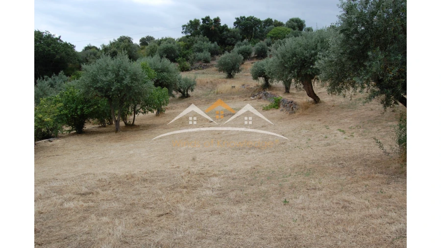 Moradia T3 para Venda em Além da Ribeira e Pedreira Foto 13