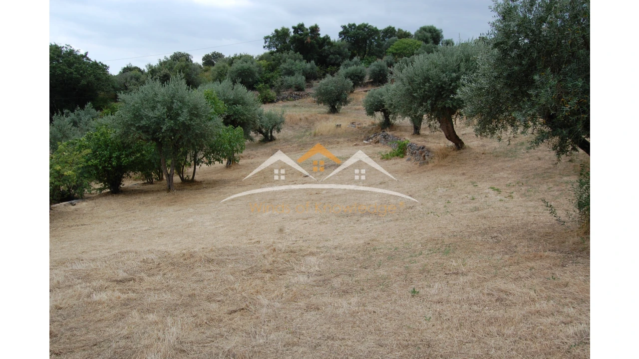 Moradia T3 para Venda em Além da Ribeira e Pedreira Foto 13