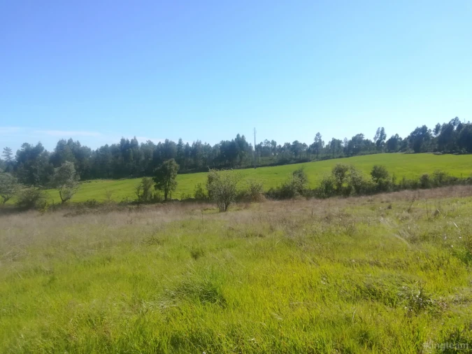 Quinta T3 para Venda em Cebolais de Cima e Retaxo Foto 5