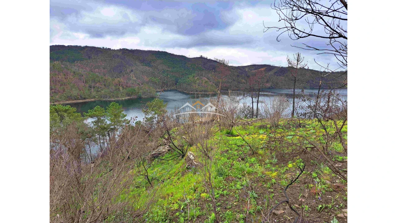 Terreno Agricola ou Rústico para Venda em Olalhas Foto 5