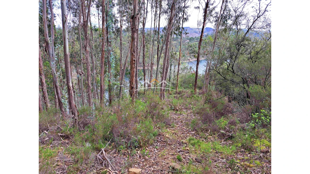 Terreno Agricola ou Rústico para Venda em Olalhas Foto 10